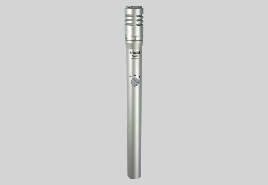 SM81