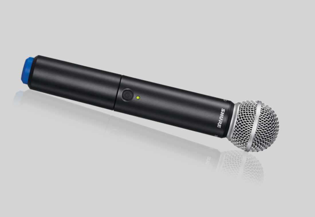 BLX2/SM58